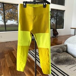 Nike Performance Leggings